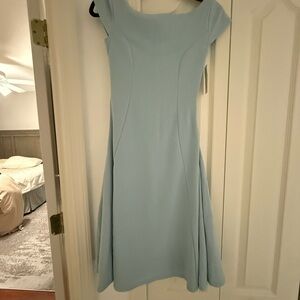 Francesca’s Elegant Blue Women's Dress